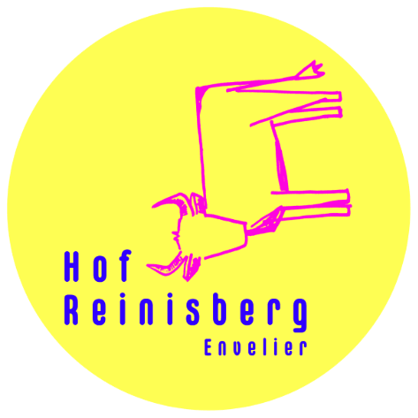 Hof Reinisberg Kuh
